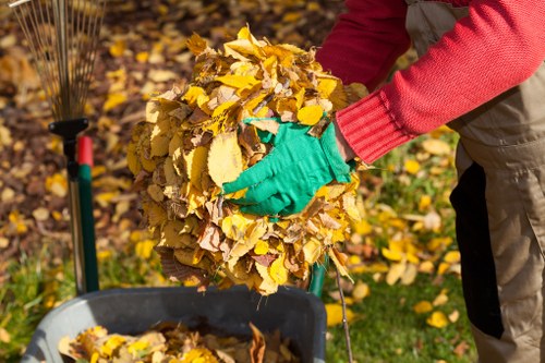 Garbage collection service in Queenspark with organized waste handling