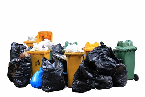 Professional waste removal service clearing household rubbish in Queenspark