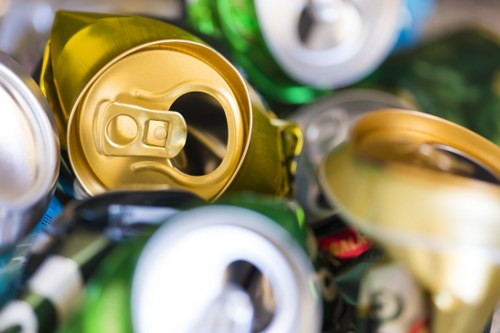 Recycling and general waste bins used for council collection in Queenspark